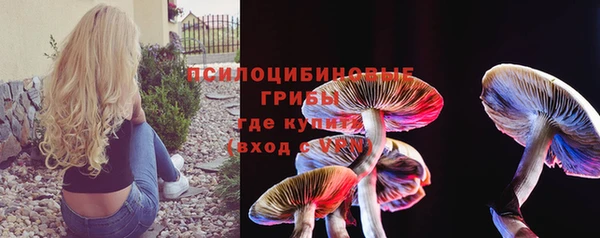 винт Михайлов