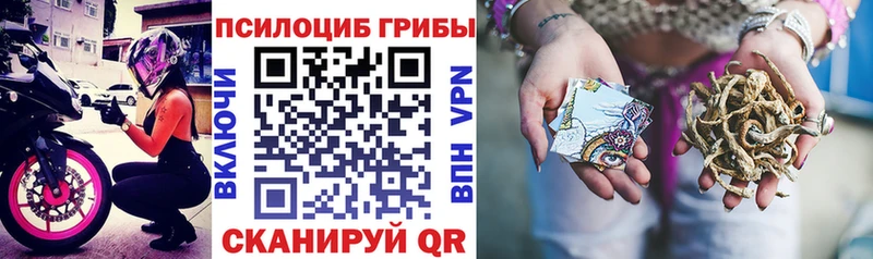 Галлюциногенные грибы GOLDEN TEACHER  Томск 