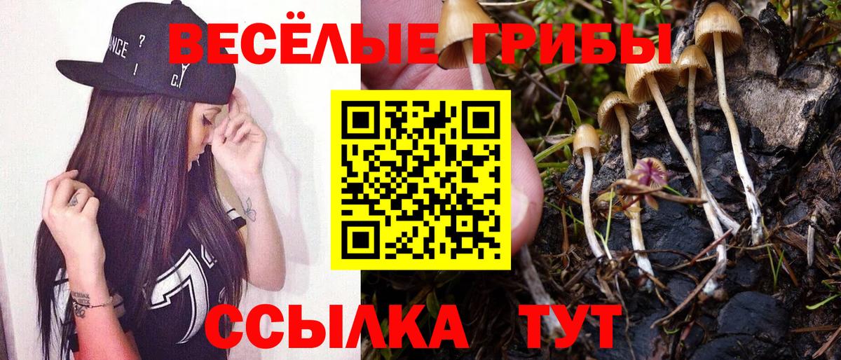 МЕФ  МДМА  Марихуана  Cocaine  Канабис  Alpha-PVP  Вход с VPN  Круглые  Томск  ГАШ  Плюхи 