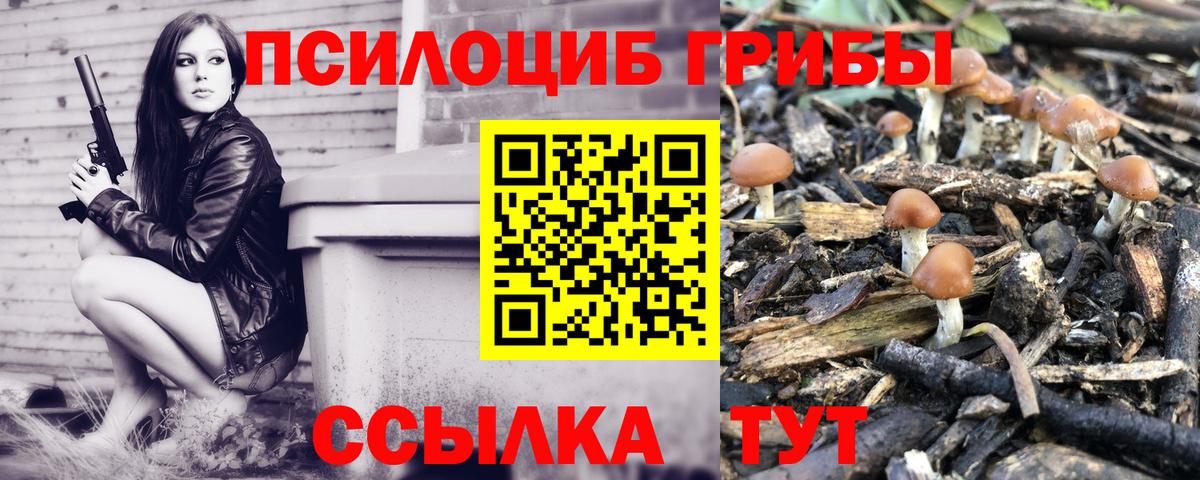 Галлюциногенные грибы мухоморы Томск