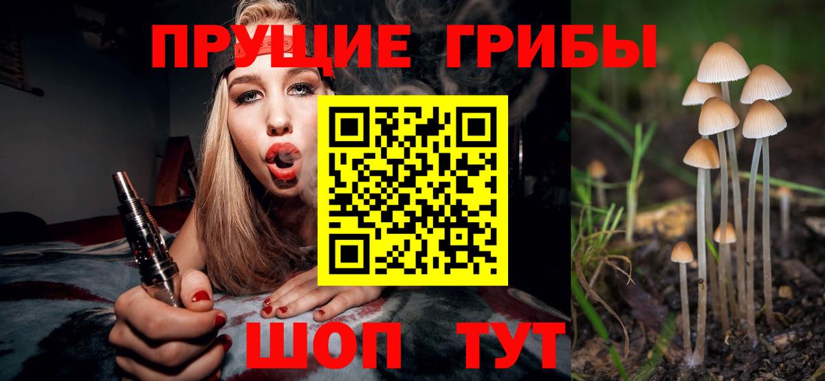 Галлюциногенные грибы мицелий  наркошоп  Томск 