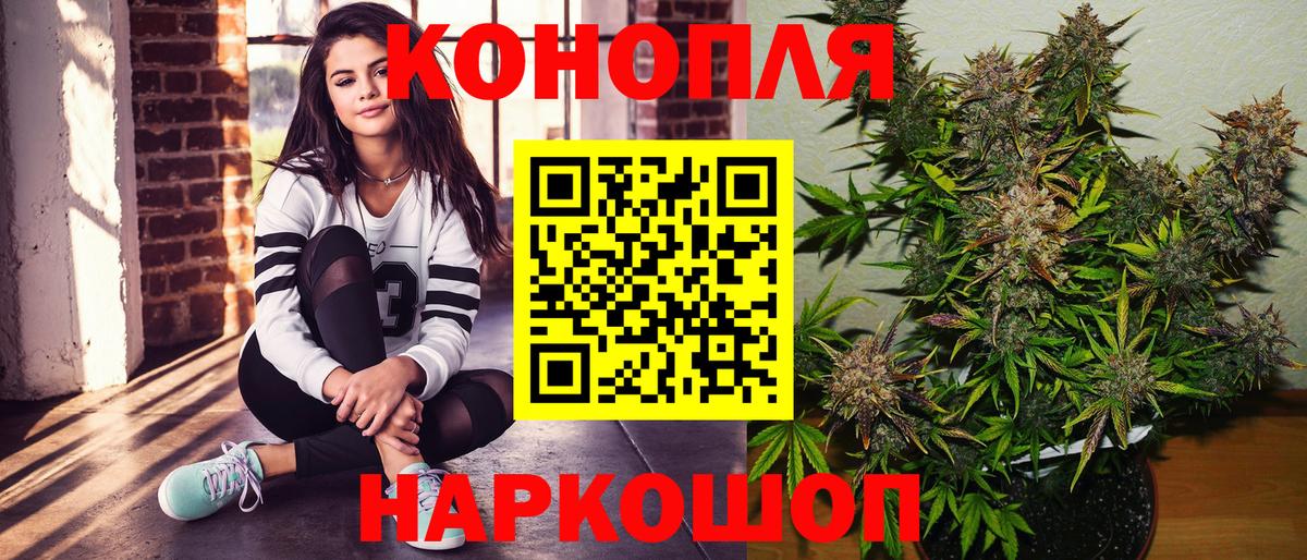 Бошки марихуана сатива Томск